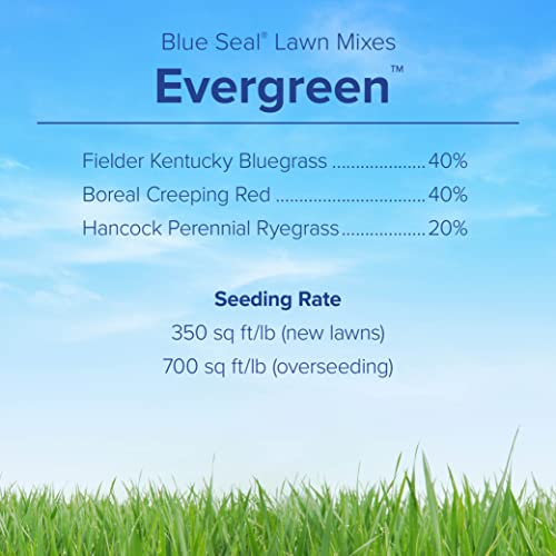 Fine-Textured Sun and Shade Grass Seed Mix, 25 lb Bag S98965