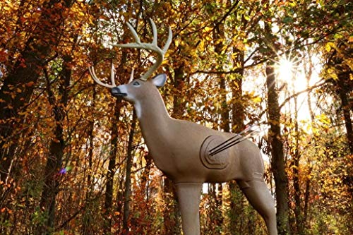 3D Deer Archery Target G897