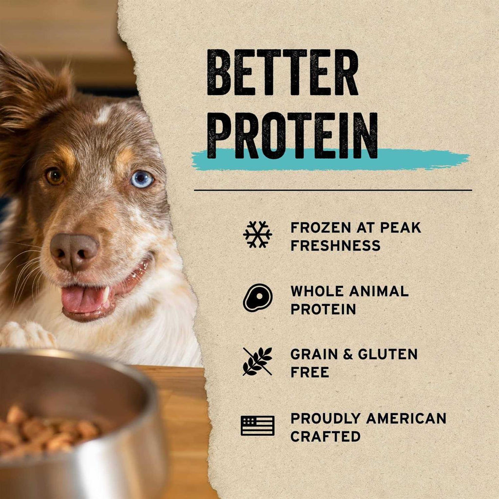 Freeze Dried Raw Salmon Recipe Mini Nibs Topper for Dogs U5907