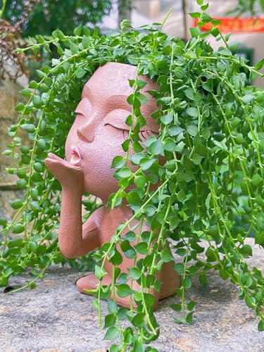 Cute Resin Face Planter Pot R3244