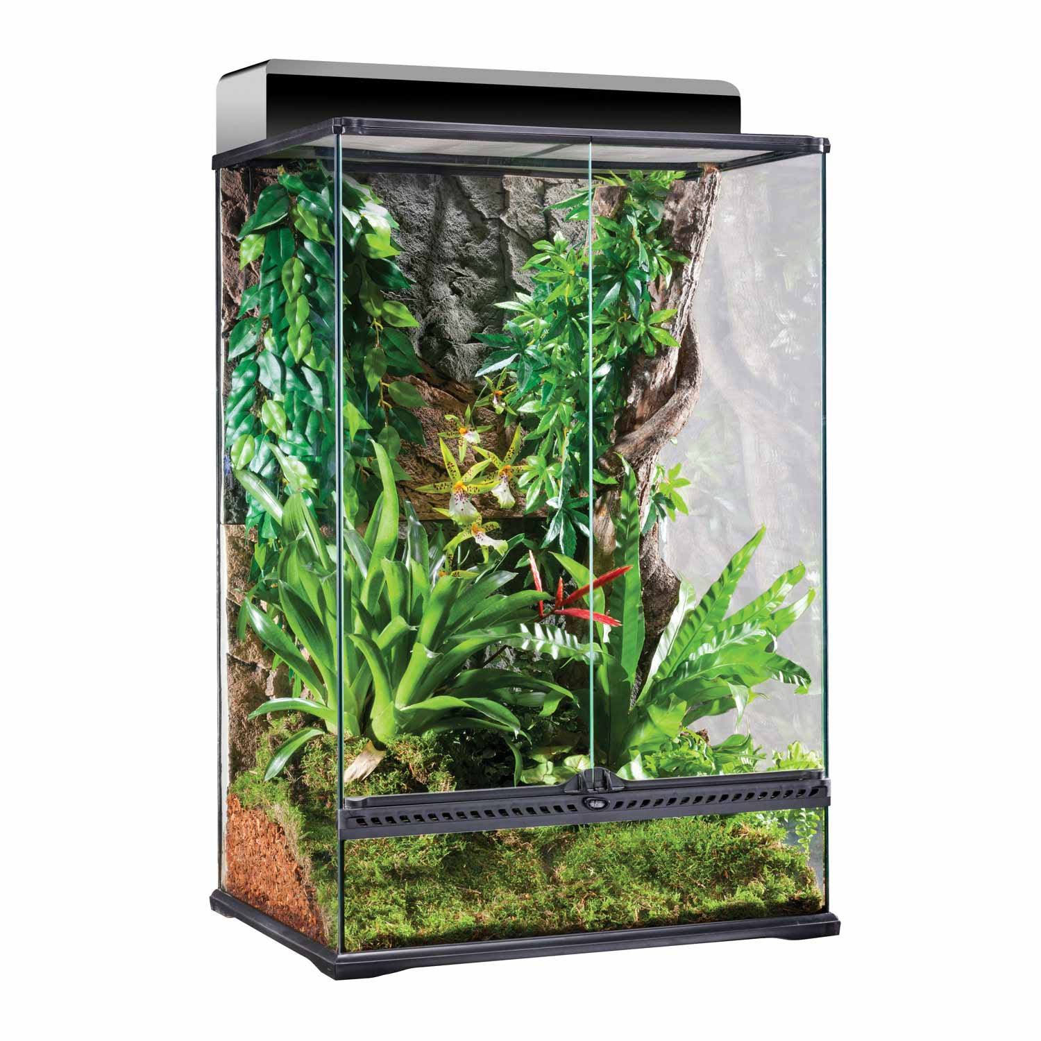 24 x 18 x 36 Glass Terrarium X13163
