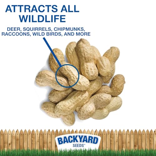 50 Pounds Peanuts in Shell P466