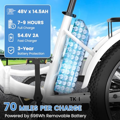 20" Folding 3 Wheels Electric Tricycle with Aluminum Frame V299