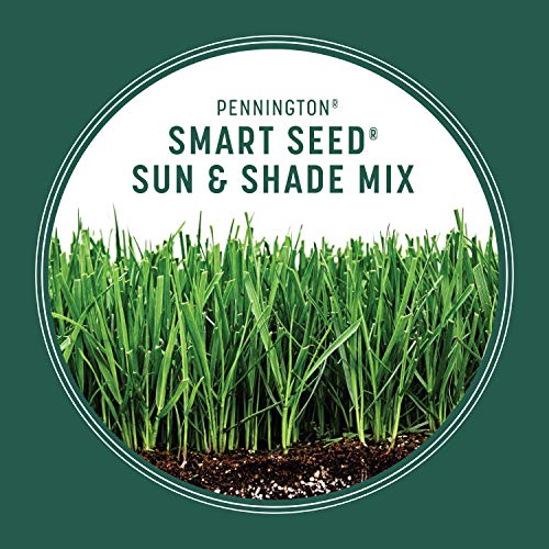 20 lb Grass Mix H22661