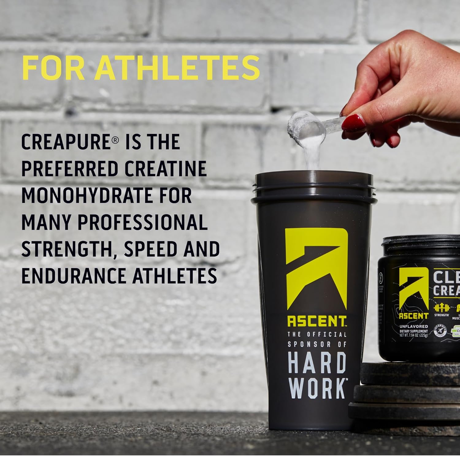 Unflavored Creatine Monohydrate Powder, 45 Servings Y561