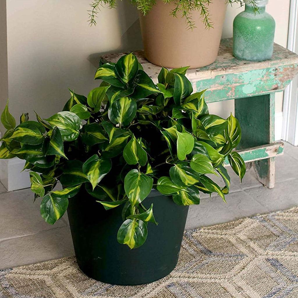 Slate Blue 6 Pack Plastic Flower Pot Planter with Drainage Holes I770496