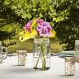 32 oz Wide Mouth Jars with Lids and Bands, Set of 12 N9849