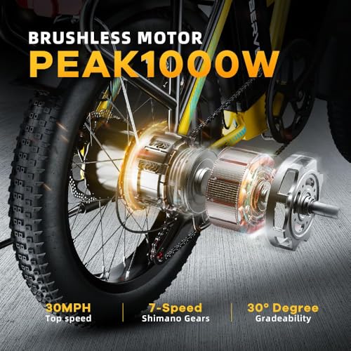 20" Fat Tire 1000W Folding Electric Bike with 48V Removable Battery V63745