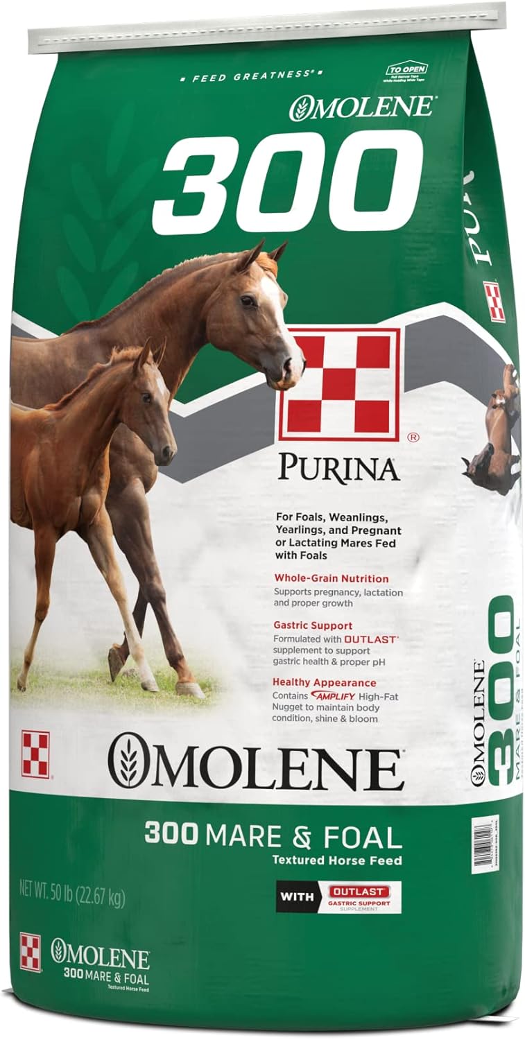50 lb Horse Feed Bag I77910