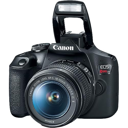 Canon EOS Rebel T7 DSLR Camera with 18-55mm Lens Bundled with 64GB Memory Card + Camera Bag + 58mm UV Filter + Microfiber Cleaning Cloth (5 Items) E224992