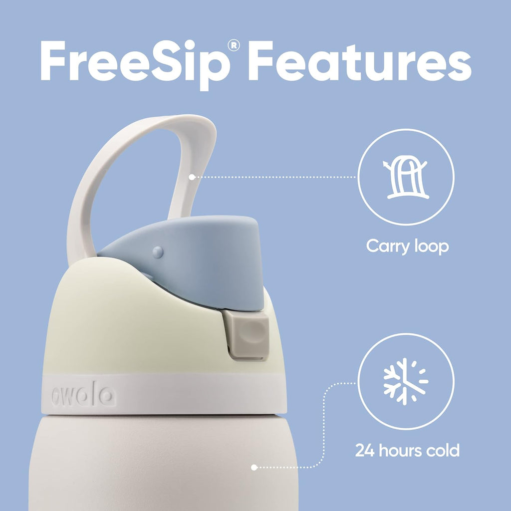 Insulated Stainless Steel Water Bottle with Straw and Silicone Boot X700484