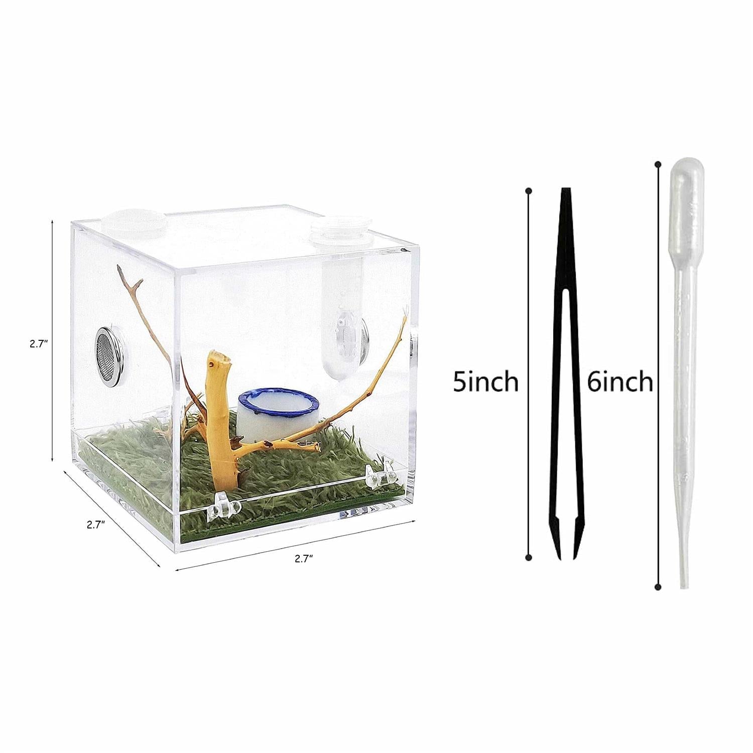 Spider Terrarium Acrylic Reptile Breeding Box with Dropper Tongs D573