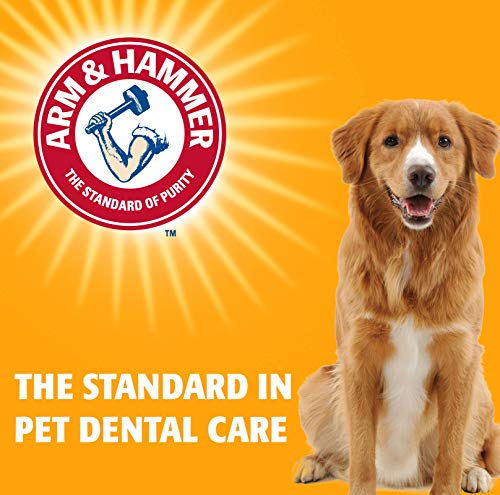 Chicken Flavor Dental Mints for Dogs, 40 Count K3305