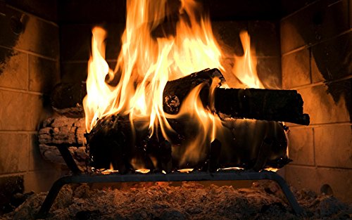 4pcs Ceramic Gas Fireplace Logs V4127