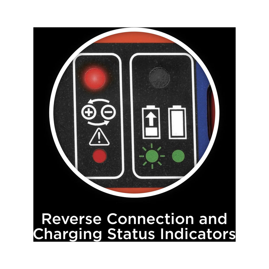 6V and 12V Battery Charger Maintainer B238