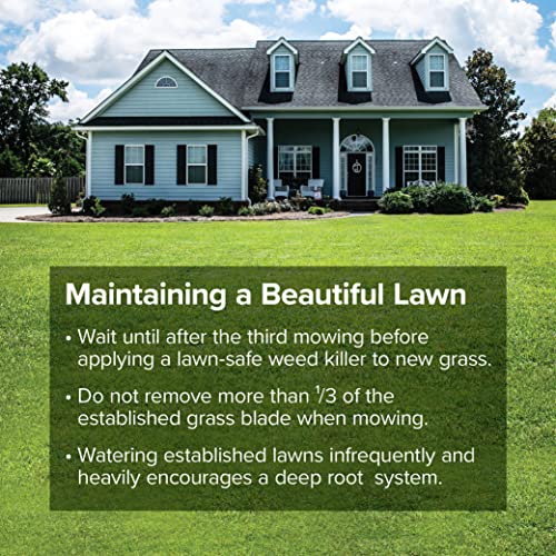Fine-Textured Sun and Shade Grass Seed Mix, 25 lb Bag S98965