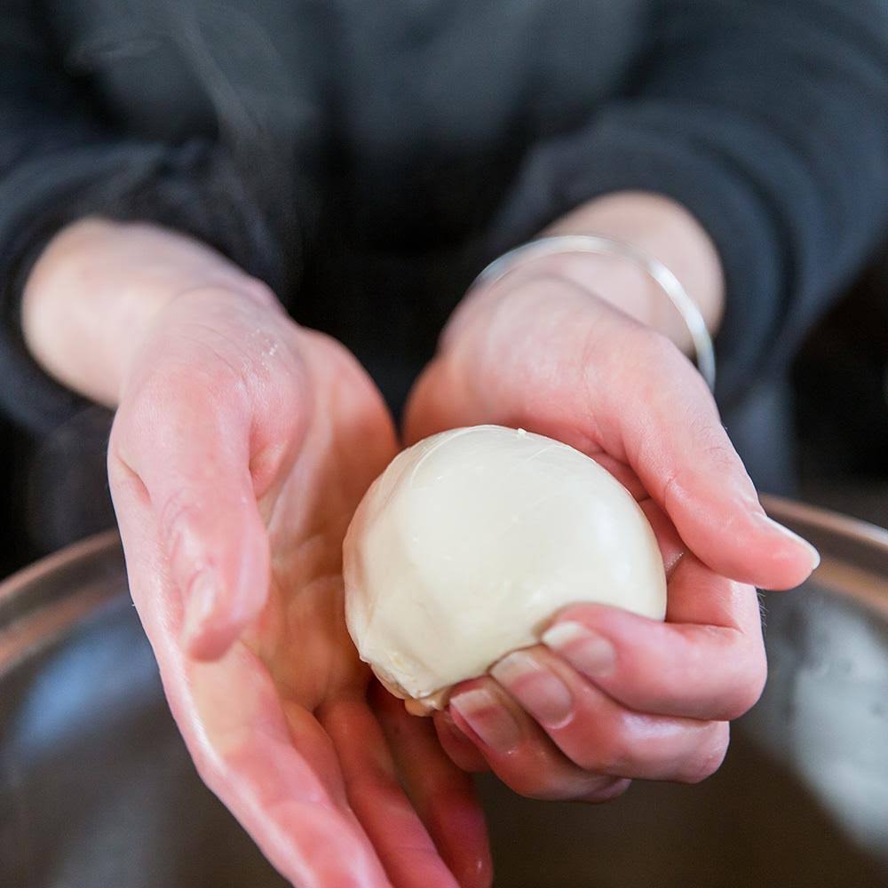 Artisan Cheese Kit F746