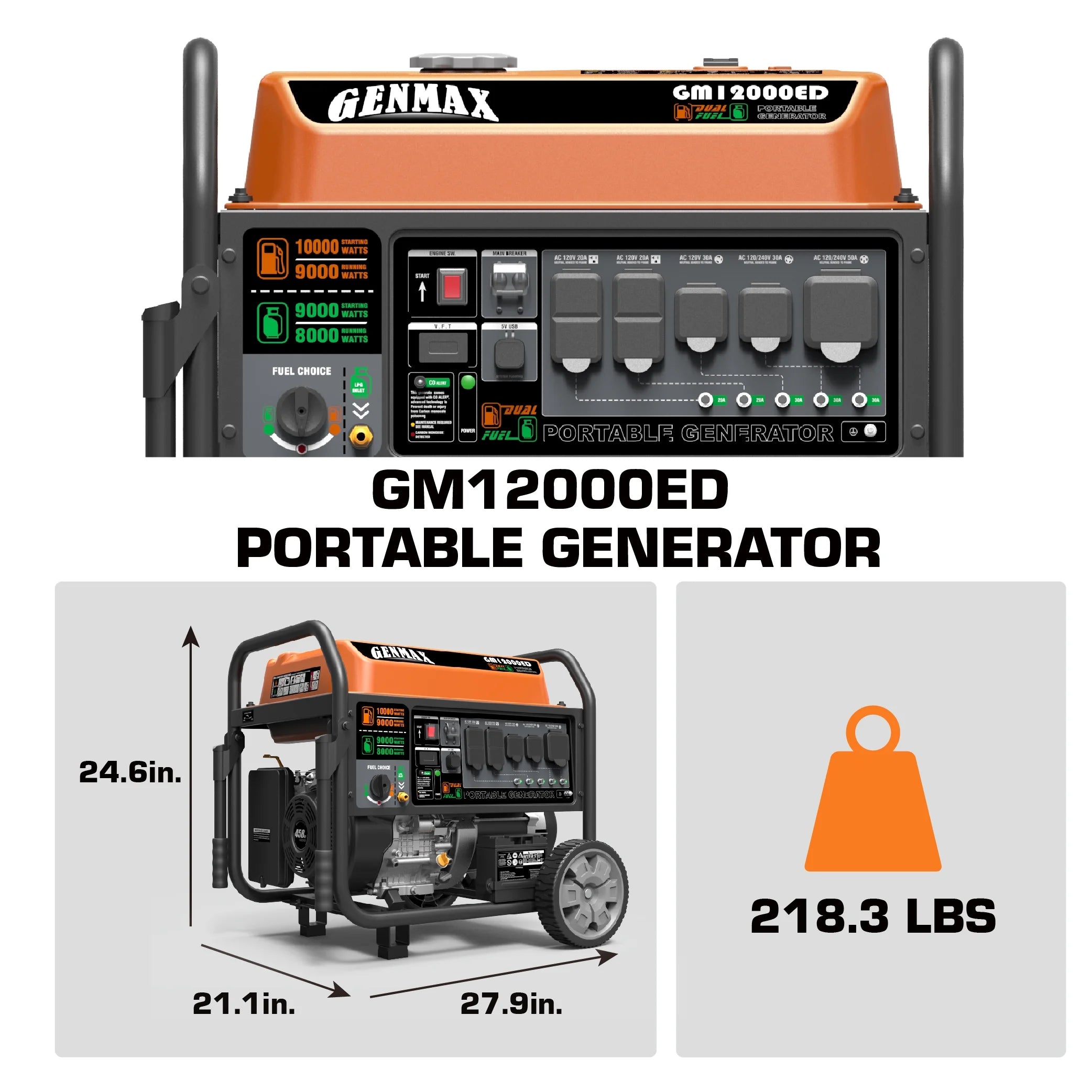 Dual Fuel Portable Generator 12000 Watt Electric Start Y40830