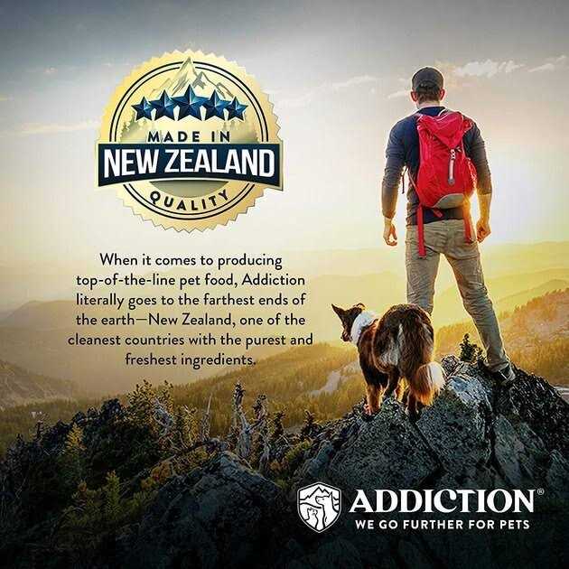 Zen Vegetarian Dry Dog Food E987