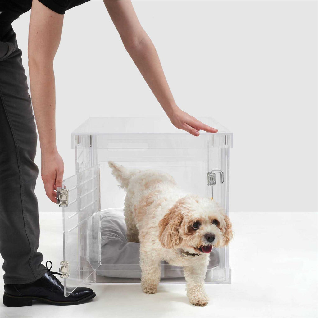 Clear Dog Crate A58258