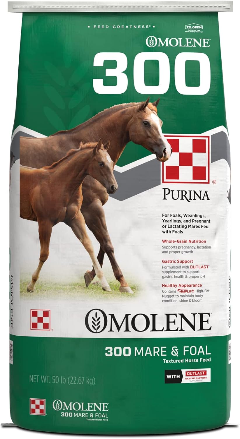 50 lb Horse Feed Bag I77910