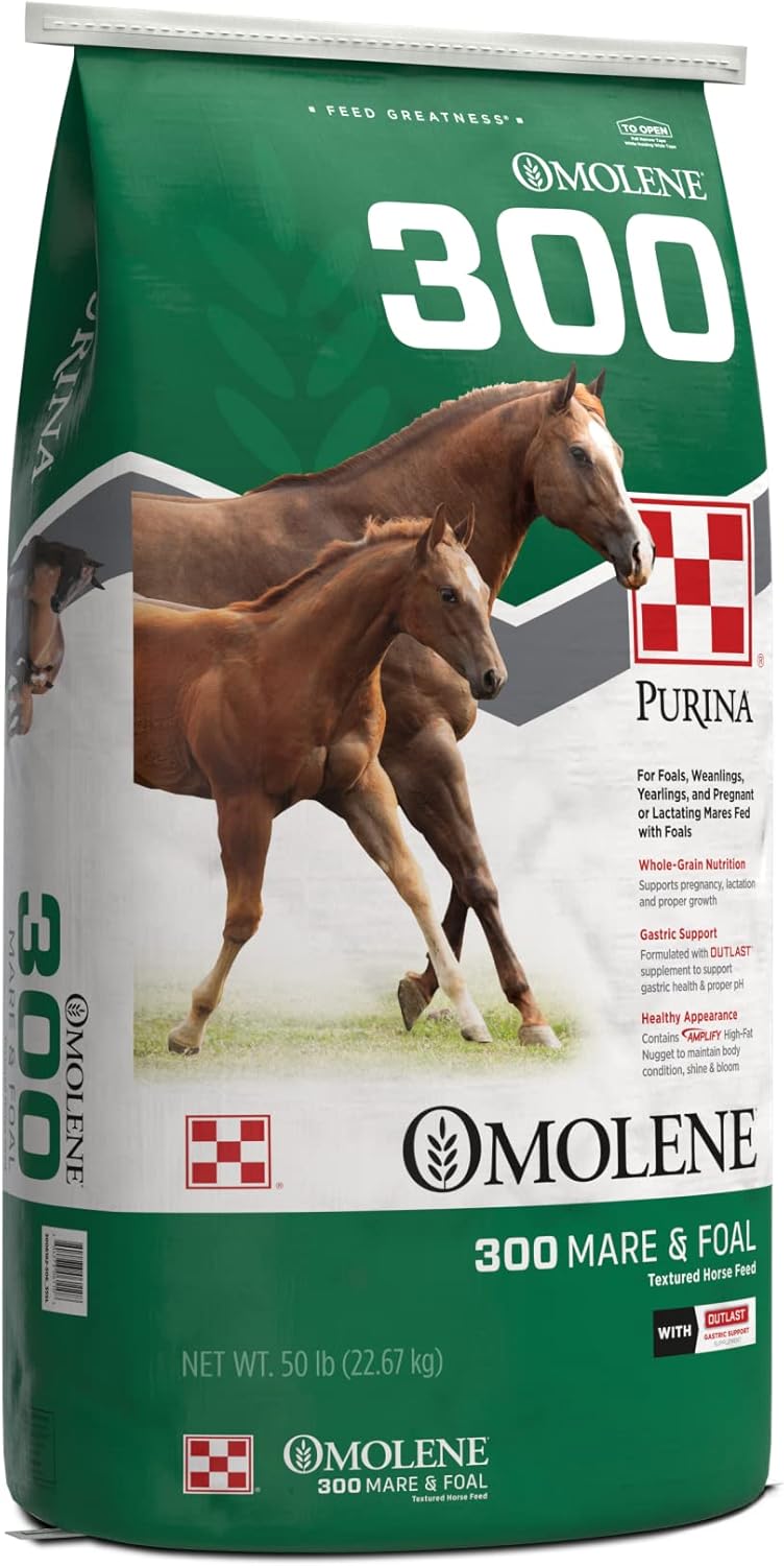 50 lb Horse Feed Bag I77910