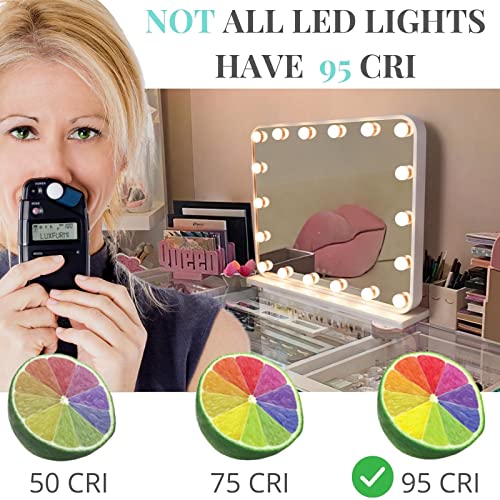 Large Hollywood Vanity Mirror with Lights, 18 LED Bulbs, Wall-Mount/Tabletop (Rose Gold) L1136