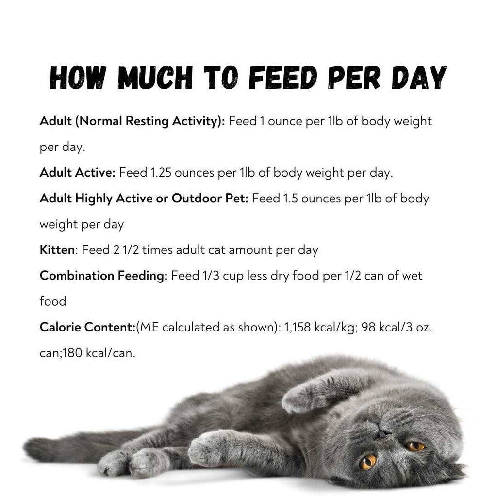 96% Pate Cat Food Y860