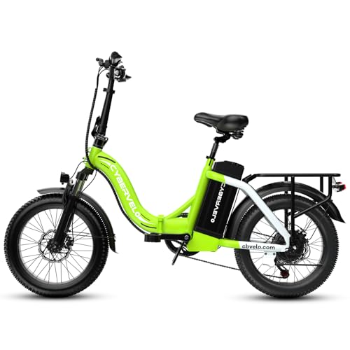 20" Fat Tire 1000W Folding Electric Bike with 48V Removable Battery V63745