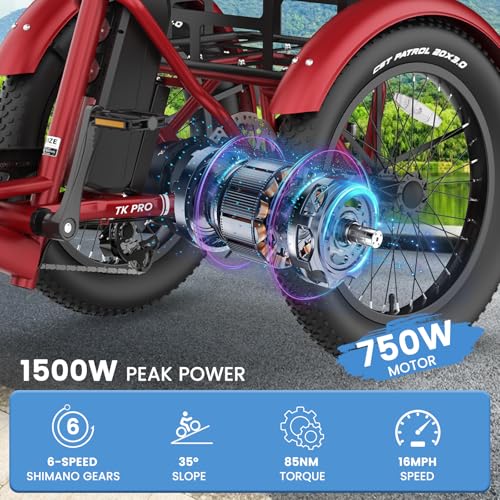 20" Folding 3 Wheels Electric Tricycle with Aluminum Frame V299
