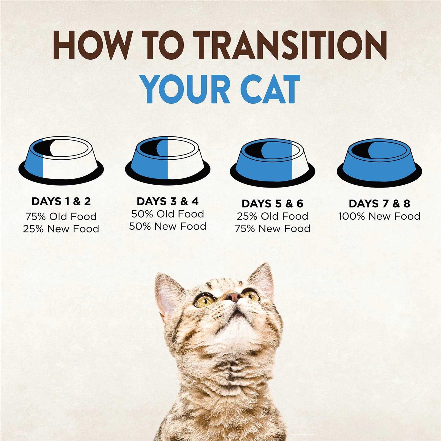 Grain Free Canned Cat Food D687
