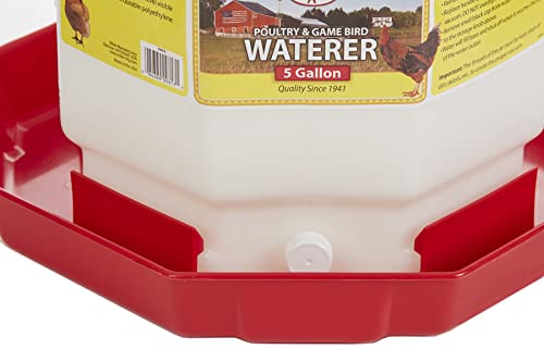 Plastic Poultry Waterer, 3 Gallons K308157