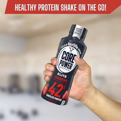 Chocolate Protein Shake 14 Fl Oz Pack of 12 H794