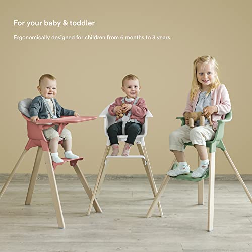 High Chair with Tray and Harness I1633