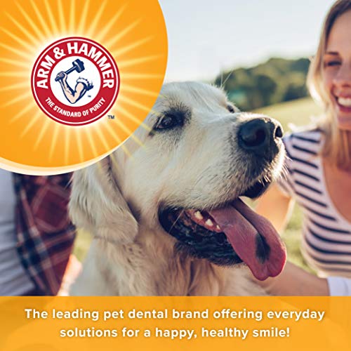 Chicken Flavor Dental Mints for Dogs, 40 Count K3305
