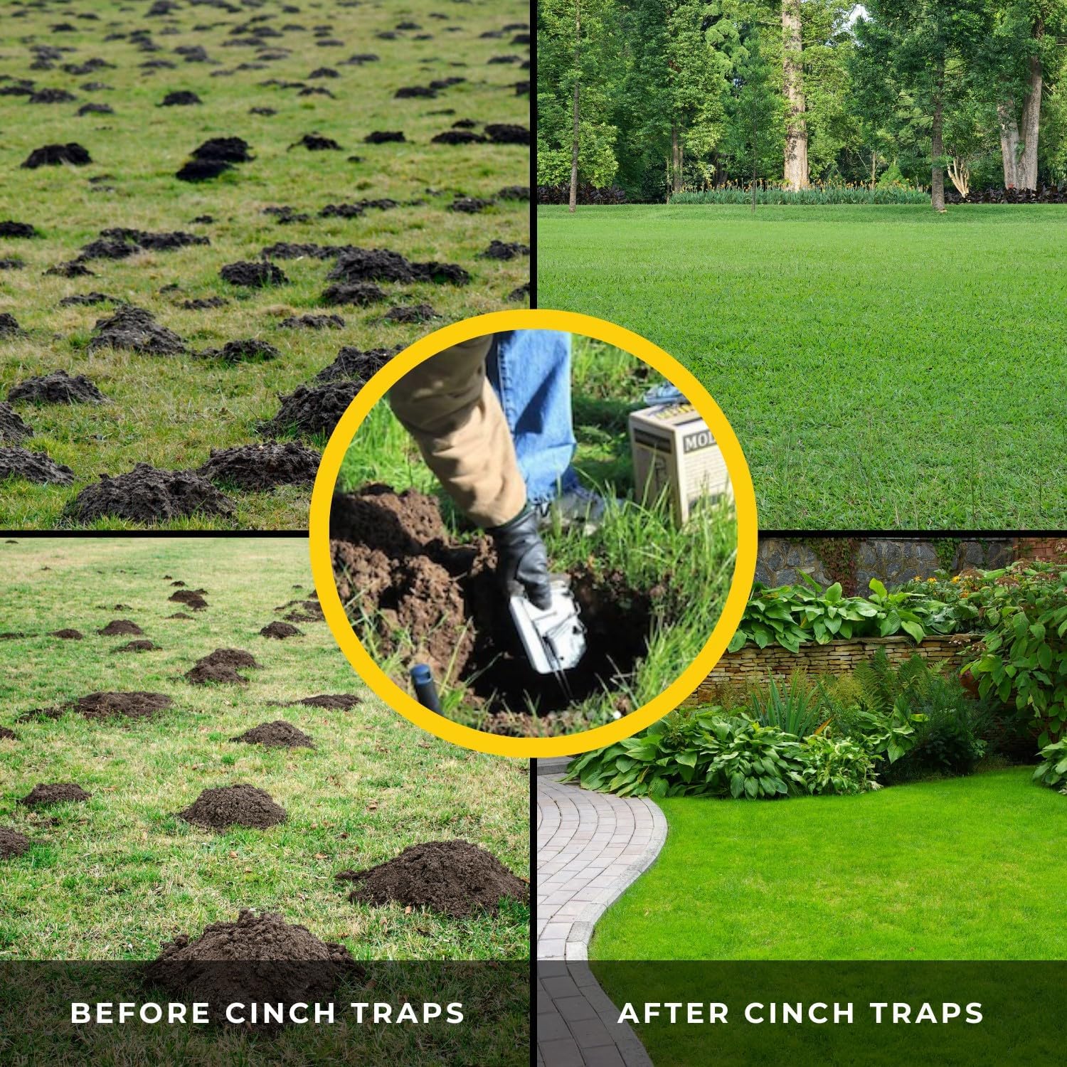 Medium Size Gopher Trap (3 Pack) Q21377