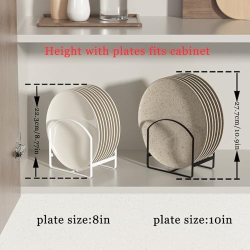 2 Pack Metal Dish Rack Black X474069