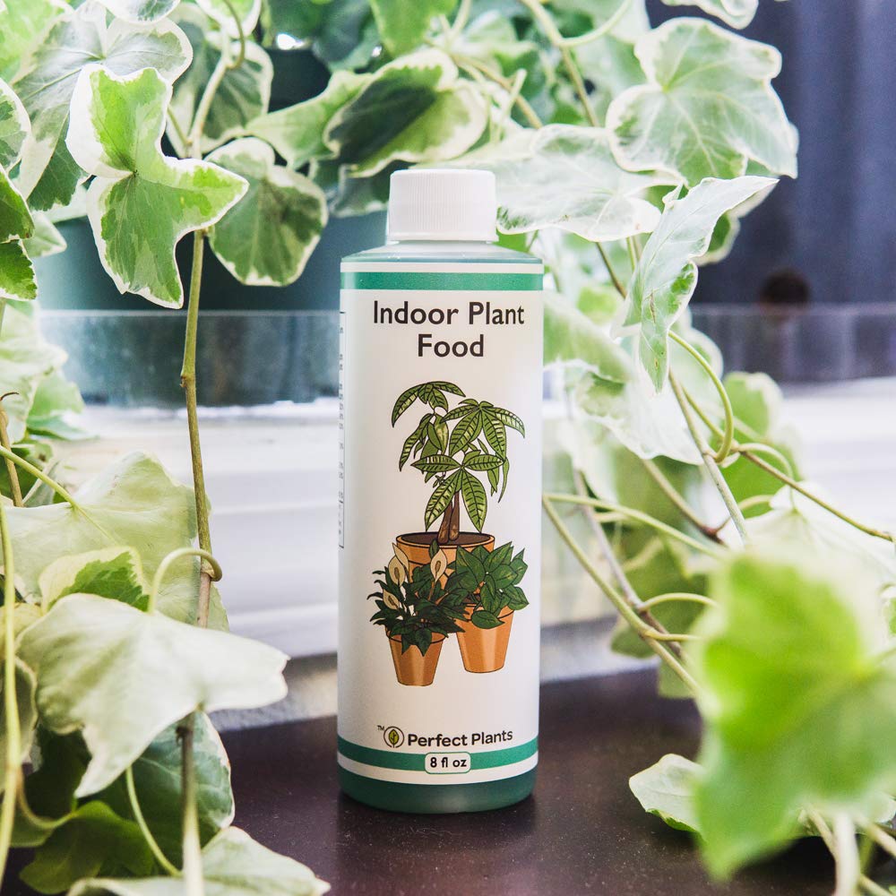8oz Concentrated All-Purpose Liquid Plant Food N363052