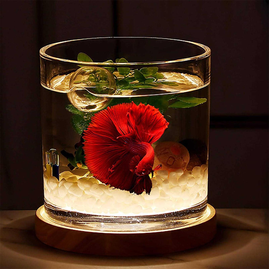 0.81-Gallon Cylindrical Fish Tank with Wooden Base LED Light Water Pump H569