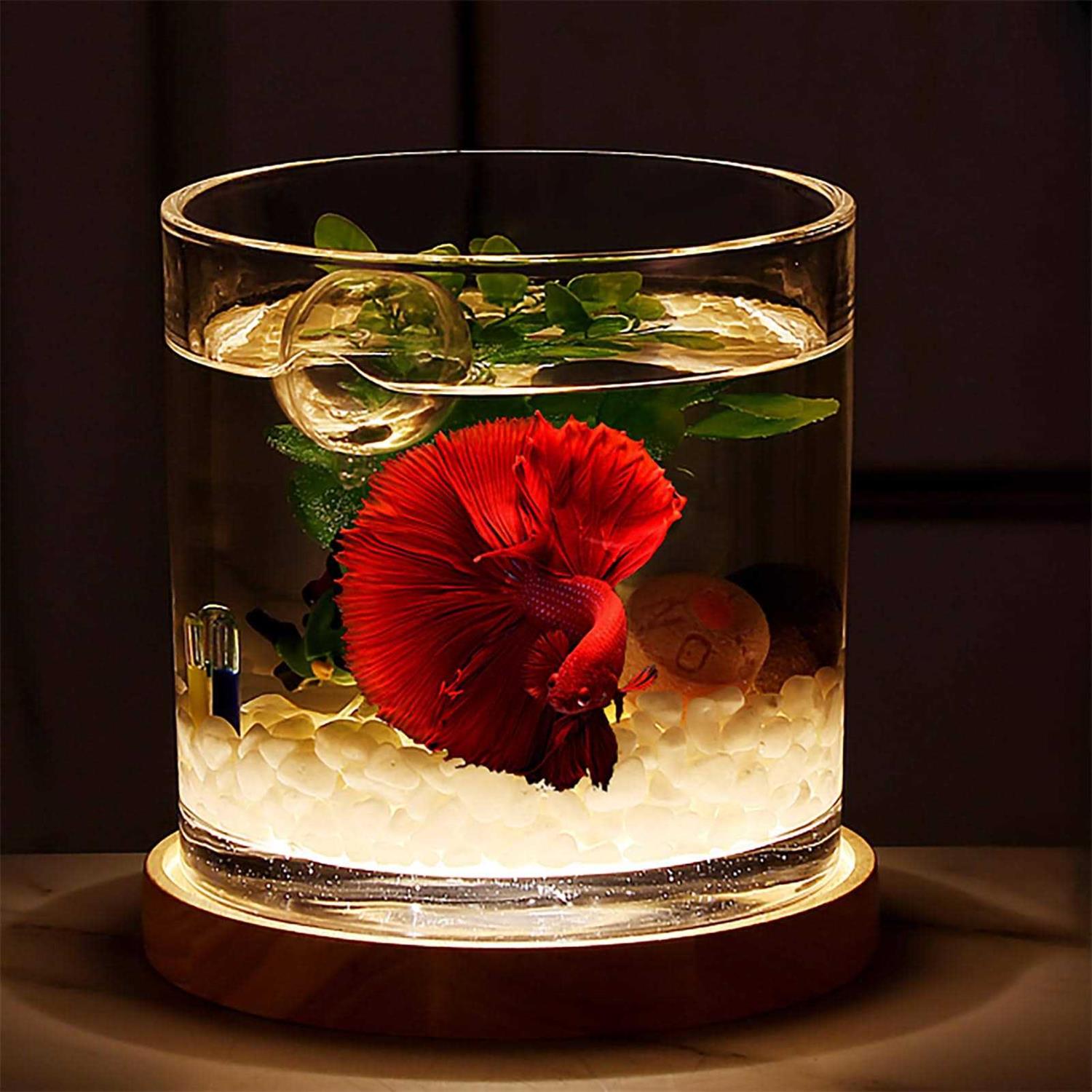 0.81-Gallon Cylindrical Fish Tank with Wooden Base LED Light Water Pump H569