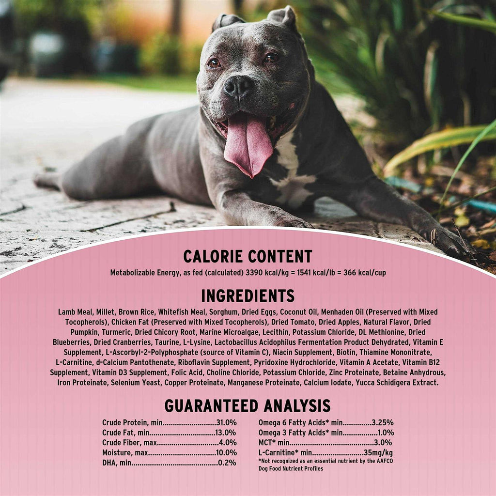 Original Sensitive Skin & Stomach Dry Dog Food P79349