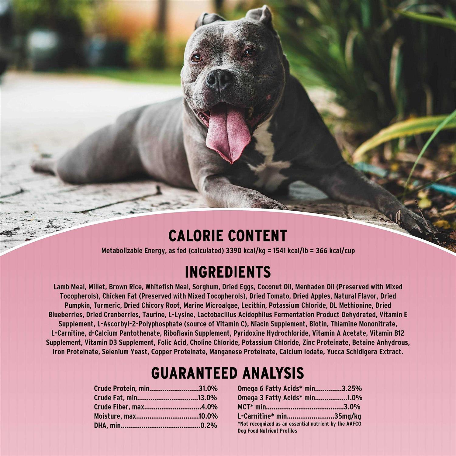 Original Sensitive Skin & Stomach Dry Dog Food P79349