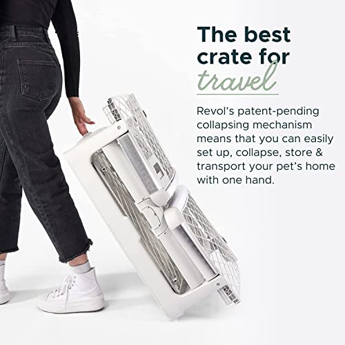 Collapsible Dog Crate (Ash) R647592