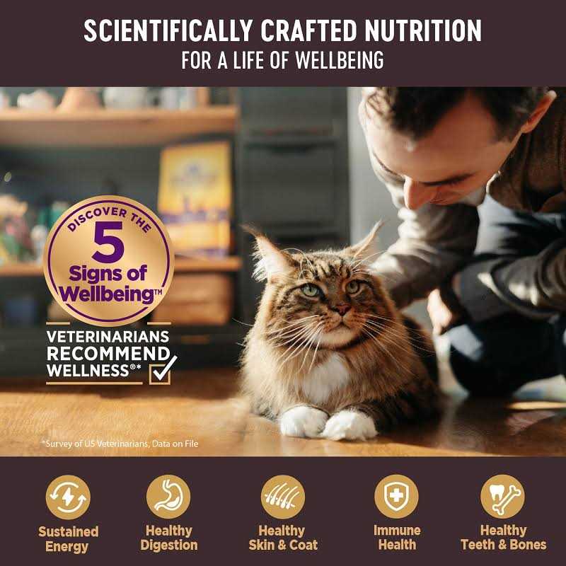 Grain Free Canned Cat Food D687