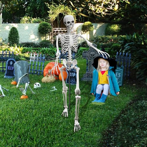 5.4Ft Poseable Plastic Human Skeletons J2425