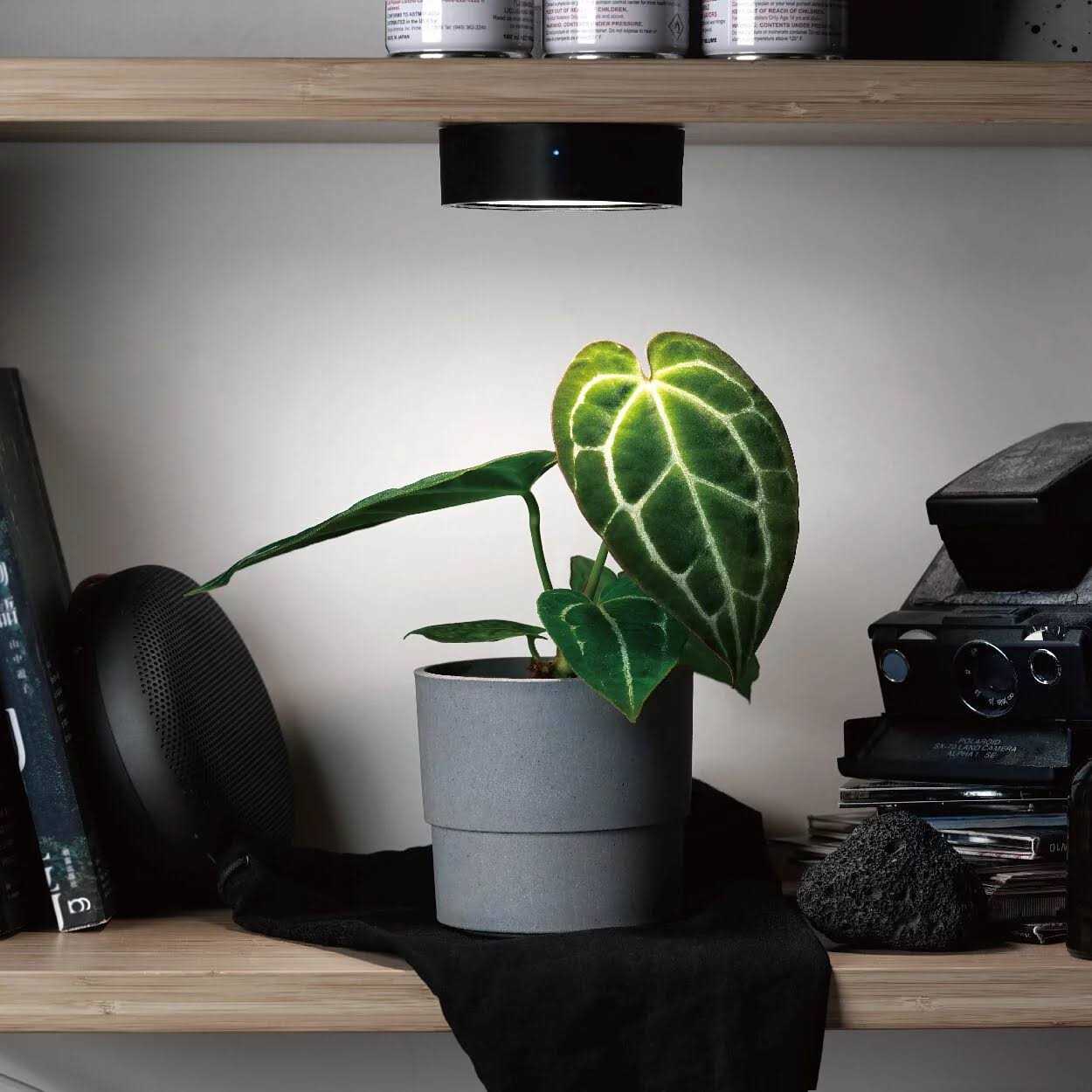 Magnetic LED Shelf Light for Indoor Plant Growth A176