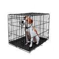 Single-Door Folding Dog Crate with Divider B627