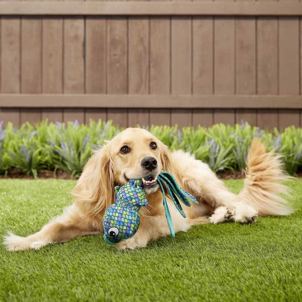 Blue Dog Toy D813