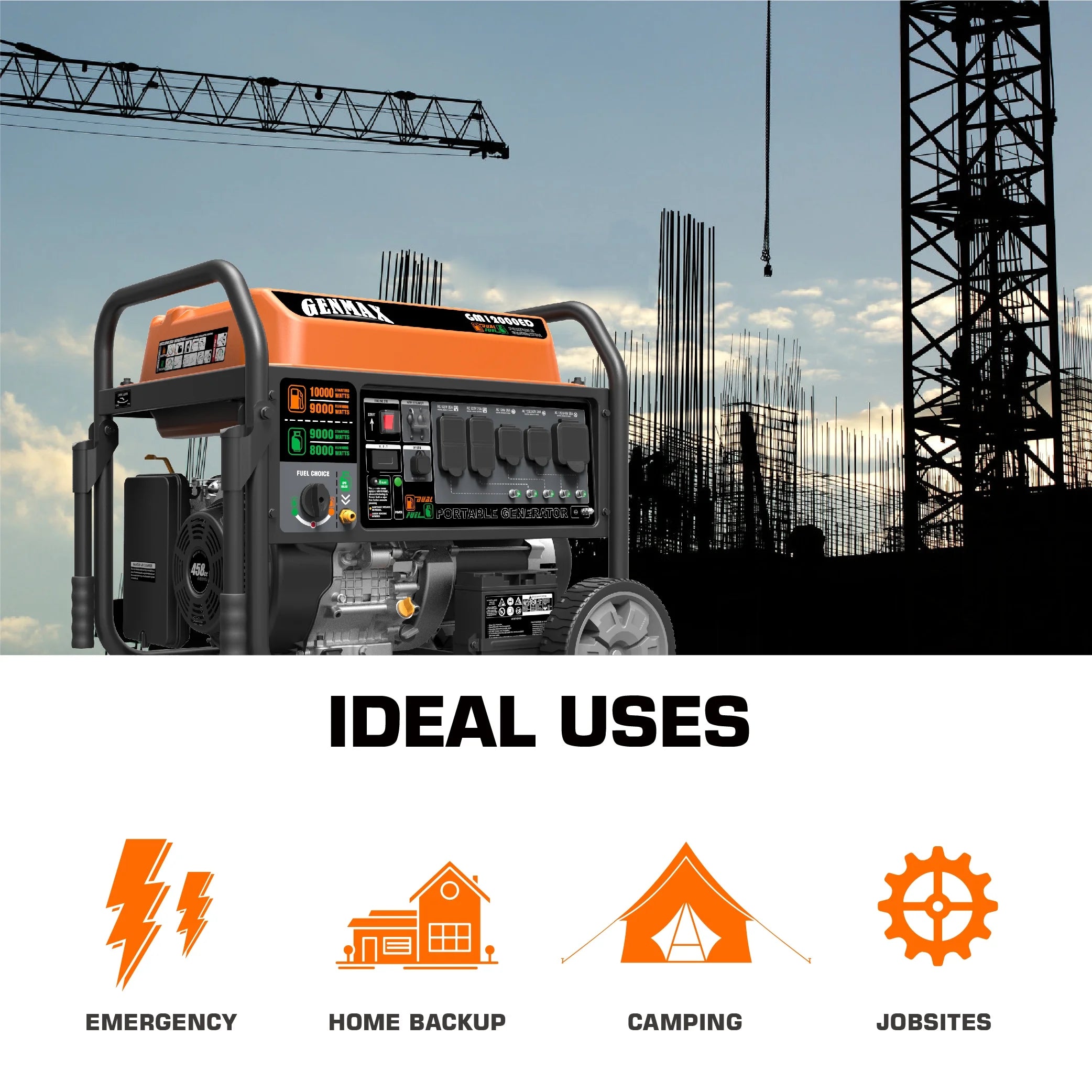 Dual Fuel Portable Generator 12000 Watt Electric Start Y40830