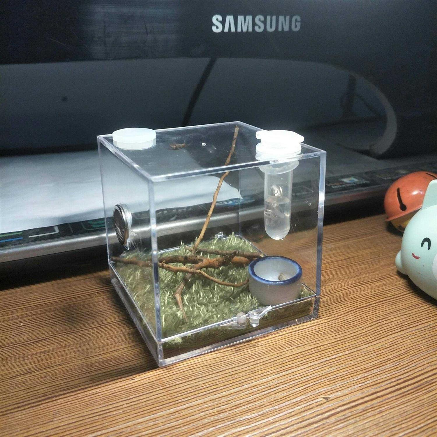 Spider Terrarium Acrylic Reptile Breeding Box with Dropper Tongs D573